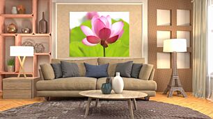 Πίνακας, ένα ροζ λουλούδι που κάθεται πάνω από ένα πράσινο φύλλο