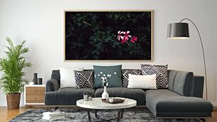 Πίνακας, ένα ροζ λουλούδι με πράσινα φύλλα στο βάθος