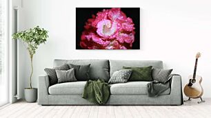 Πίνακας, ένα ροζ λουλούδι με σταγόνες νερού πάνω του