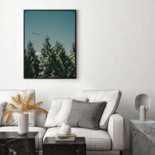 Πίνακας, ένα αεροπλάνο που πετά πάνω από ένα δάσος από δέντρα
