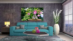 Πίνακας, ένα φυτό σε γλάστρες με ροζ λουλούδια μέσα