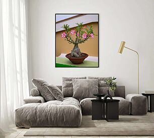 Πίνακας, ένα φυτό σε γλάστρες με ροζ λουλούδια σε τραπέζι