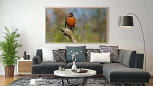 Πίνακας, ένα κόκκινο και μαύρο πουλί που κάθεται πάνω σε ένα κλαδί δέντρου