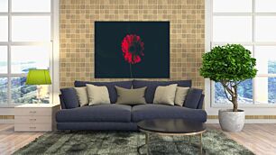 Πίνακας, ένα κόκκινο λουλούδι με μαύρο φόντο