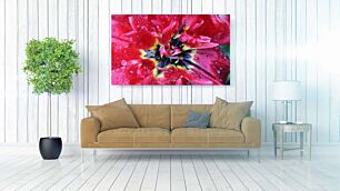 Πίνακας, ένα κόκκινο λουλούδι με σταγόνες νερού πάνω του