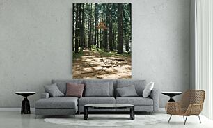 Πίνακας, μια πινακίδα στη μέση ενός δάσους