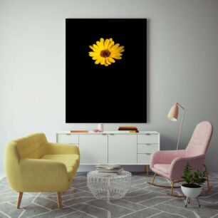 Πίνακας, ένα μόνο κίτρινο λουλούδι σε μαύρο φόντο