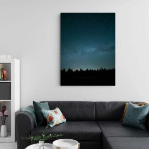 Πίνακας, ένας ουρανός γεμάτος με πολλά αστέρια δίπλα σε ένα δάσος