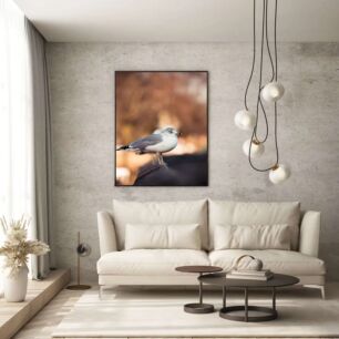 Πίνακας, ένα μικρό πουλάκι που κάθεται πάνω από μια στέγη