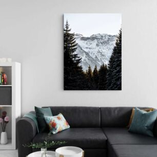 Πίνακας, ένα χιονισμένο βουνό με πεύκα στο προσκήνιο