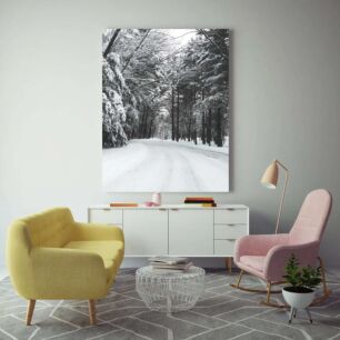 Πίνακας, ένας χιονισμένος δρόμος στη μέση ενός δάσους