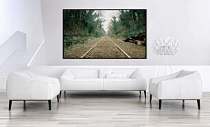 Πίνακας, μια ράγα τρένου στη μέση μιας δασωμένης περιοχής