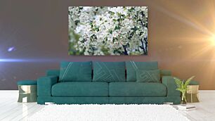 Πίνακας, ένα δέντρο γεμάτο με πολλά λευκά λουλούδια
