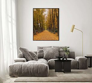Πίνακας, ένας δεντρόφυτος δρόμος με κίτρινα φύλλα στο έδαφος