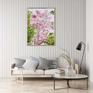 Πίνακας, ένα δέντρο με πολλά ροζ λουλούδια και πράσινα φύλλα
