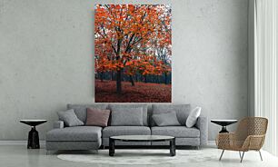 Πίνακας, ένα δέντρο με πορτοκαλόφυλλα σε ένα πάρκο