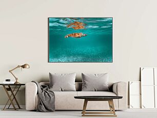 Πίνακας, μια χελώνα που κολυμπά κάτω από το νερό στον ωκεανό