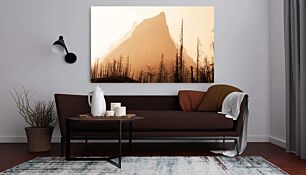 Πίνακας, ένα πολύ ψηλό βουνό που δεσπόζει πάνω από ένα δάσος γεμάτο δέντρα