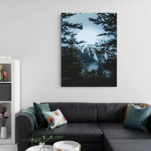 Πίνακας, θέα ενός βουνού μέσα από μερικά δέντρα