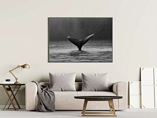 Πίνακας, μια ουρά φάλαινας πετάει έξω από το νερό