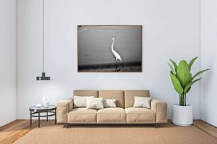 Πίνακας, ένα λευκό πουλί που στέκεται πάνω από ένα υδάτινο σώμα