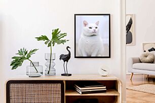 Πίνακας, μια λευκή γάτα με ένα πράσινο γιακά κάθεται στο πάτωμα