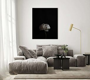 Πίνακας, ένα λευκό λουλούδι σε μαύρο φόντο
