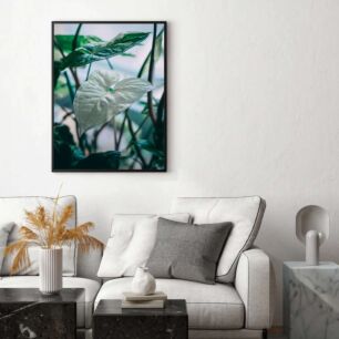 Πίνακας, ένα λευκό λουλούδι που κάθεται πάνω από ένα πράσινο φυτό