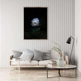 Πίνακας, ένα λευκό λουλούδι που κάθεται πάνω από ένα φυλλοσκέπαστο έδαφος