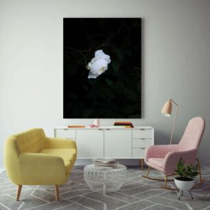Πίνακας, ένα λευκό λουλούδι που κάθεται πάνω από ένα καταπράσινο δέντρο