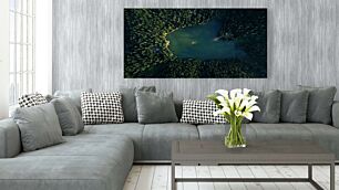 Πίνακας, μια εναέρια άποψη μιας λίμνης που περιβάλλεται από δέντρα