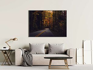 Πίνακας, ένας άδειος δρόμος στη μέση ενός δάσους