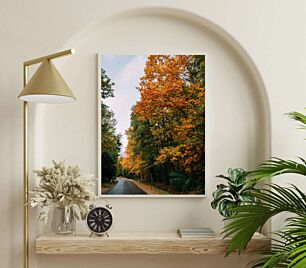 Πίνακας, ένας άδειος δρόμος που περιβάλλεται από δέντρα το φθινόπωρο