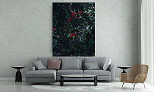 Πίνακας, πουρνάρι και κόκκινα μούρα σε ένα δέντρο