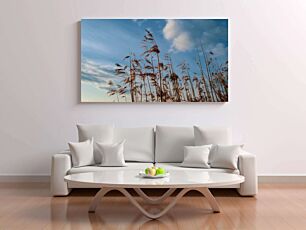 Πίνακας, ψηλό γρασίδι που φυσάει στον άνεμο κάτω από έναν συννεφιασμένο γαλάζιο ουρανό