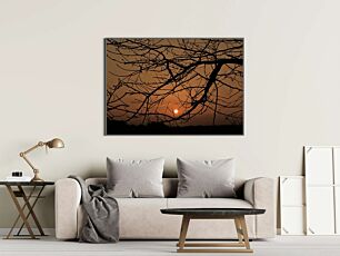 Πίνακας, ο ήλιος δύει μέσα από τα κλαδιά ενός δέντρου