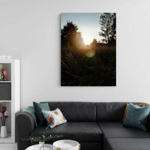 Πίνακας, ο ήλιος λάμπει μέσα από τα δέντρα και το γρασίδι