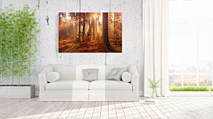 Πίνακας, ο ήλιος λάμπει μέσα από τα δέντρα στο δάσος