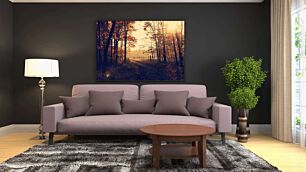 Πίνακας, ο ήλιος λάμπει μέσα από τα δέντρα στο δάσος