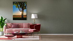 Πίνακας, ο ήλιος λάμπει μέσα από τα κλαδιά ενός δέντρου σε ένα χωράφι με παπαρούνες