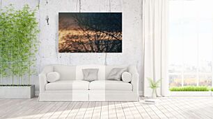 Πίνακας, ο ήλιος λάμπει μέσα από τα κλαδιά ενός δέντρου