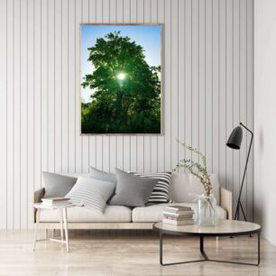 Πίνακας, ο ήλιος λάμπει μέσα από τα φύλλα ενός δέντρου