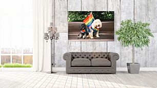 Πίνακας, δύο σκυλιά κάθονται σε ένα παγκάκι με σημαία ουράνιου τόξου