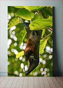 Πίνακας, A Bat Hanging from a Tree Μια νυχτερίδα που κρέμεται από ένα δέντρο