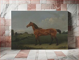 Πίνακας, A Bay Horse in a Field