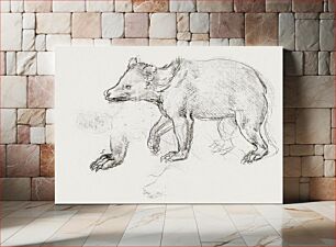 Πίνακας, A Bear Walking (ca. 1482–1485) by Leonardo da Vinci