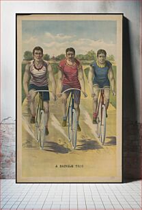 Πίνακας, A bicycle trio