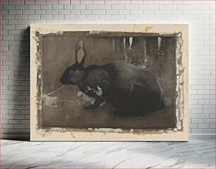 Πίνακας, A Black Rabbit