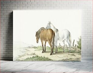 Πίνακας, A brown and white horse on a road next to a fence by Jean Bernard (1802)