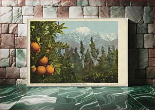 Πίνακας, A California Anomaly, Snow and Oranges, Pasadena, California, No. 7782